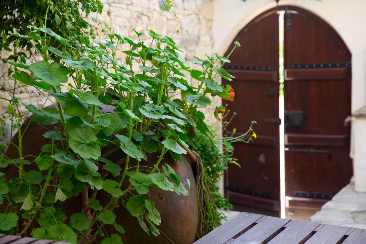 Dhoros The Old Olive Mill House By Trulycyprusヴィラ エクステリア 写真